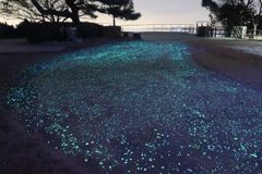 摩耶キラキラ小径