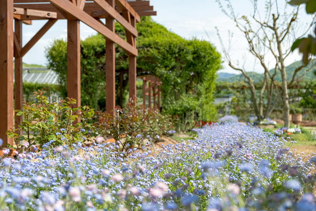 Photo散歩⑥ 21/04/18