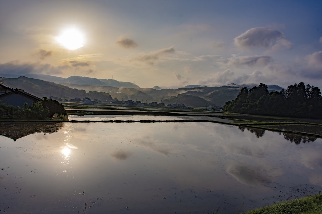 早朝の我が村