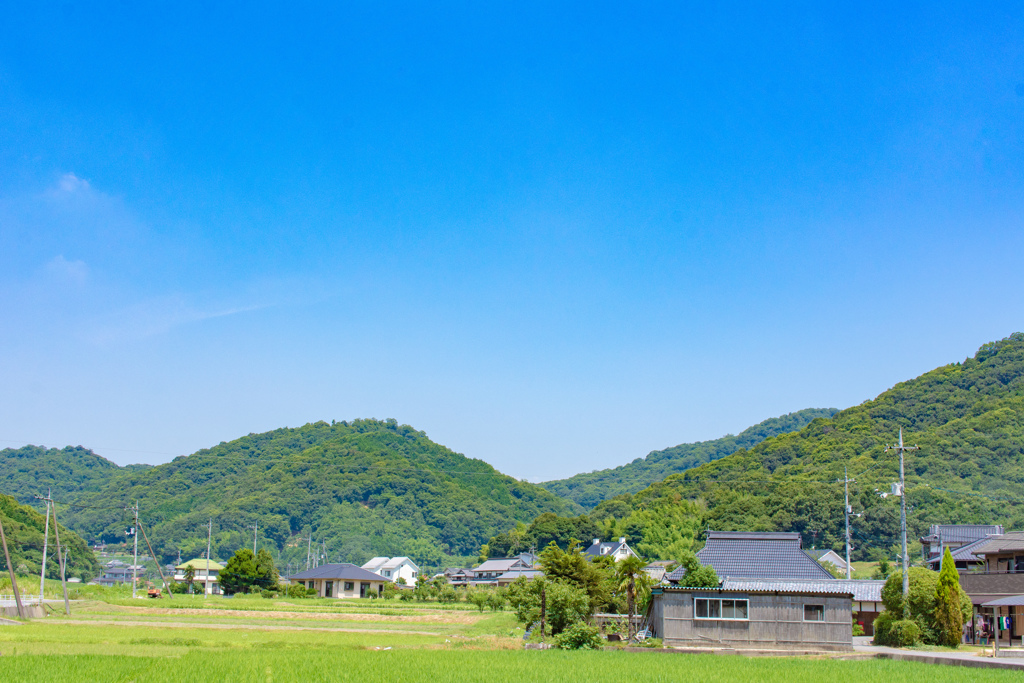 試し撮り②