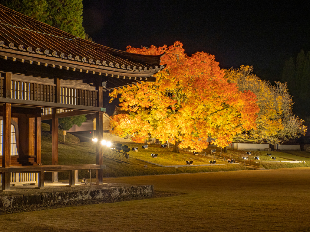 閑谷学校ライトアップ