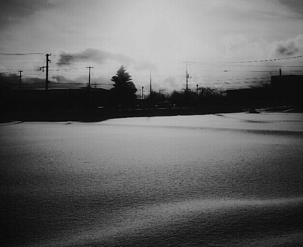 ある　雪の日。