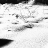 雪　のち　晴れ間。