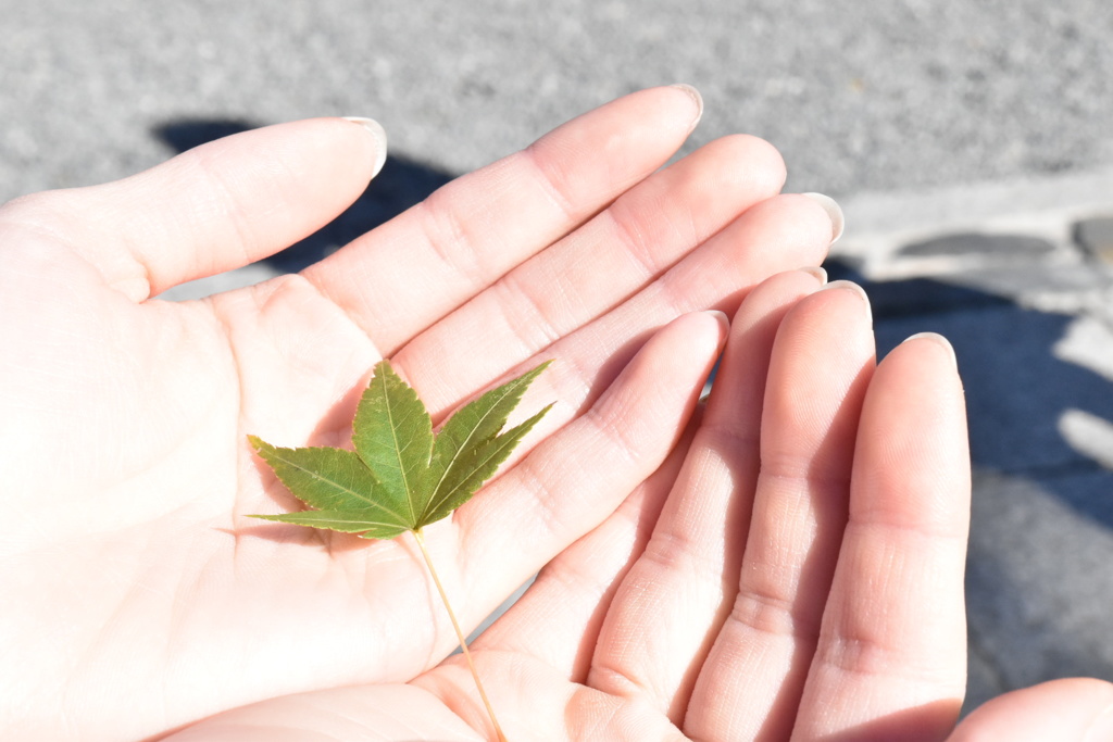 小さな