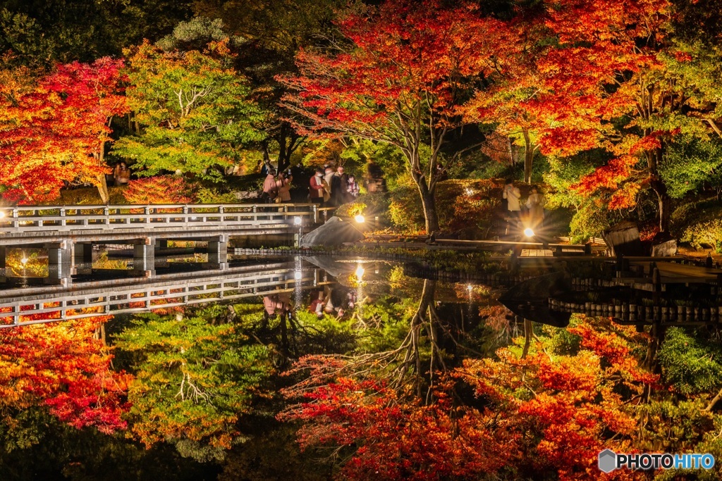 『秋の夜散歩』