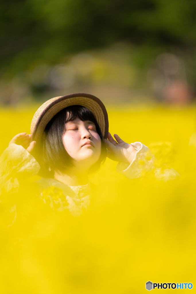 菜ノ花のかほり