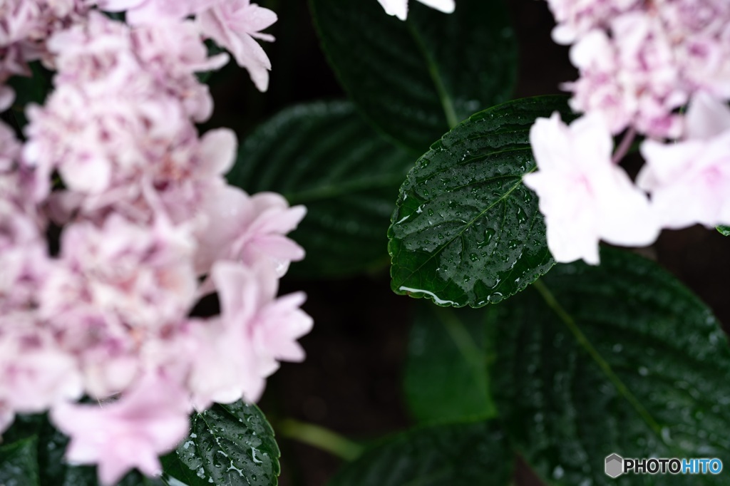 雨模様