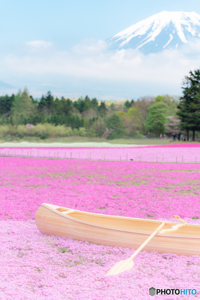 芝桜と船と富士
