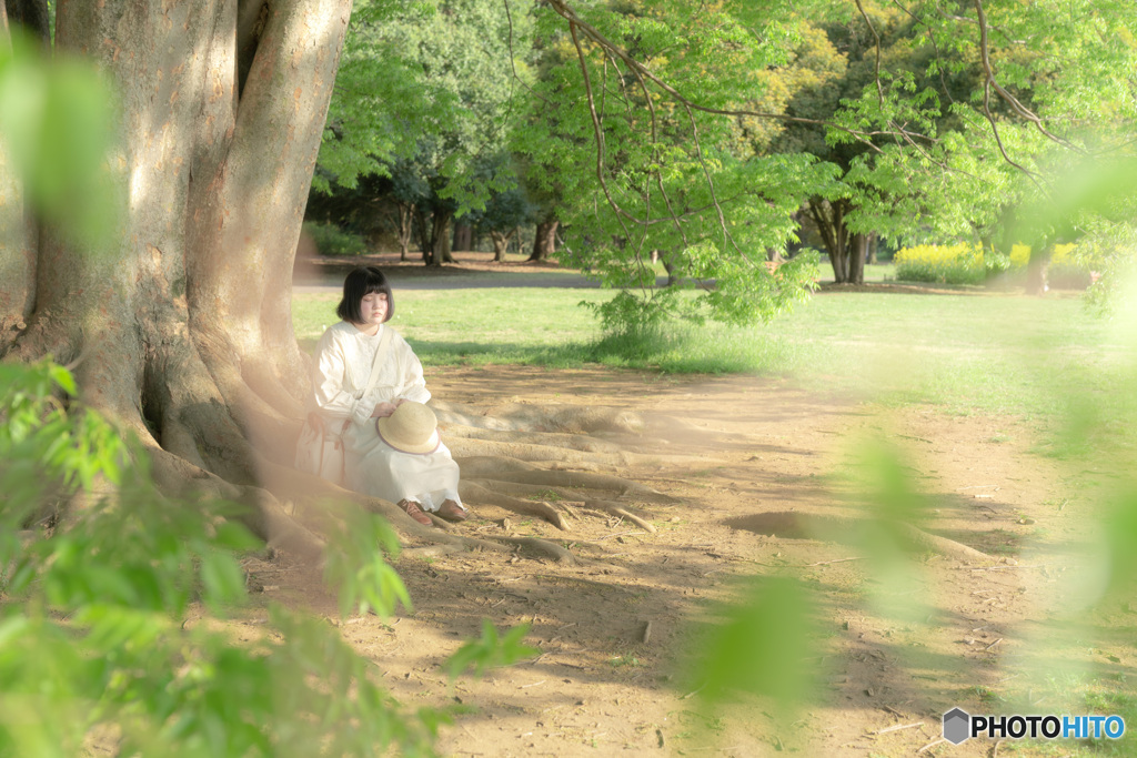 木漏れ日のもとで