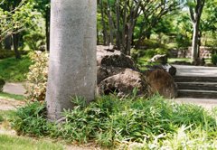 かくれんぼ