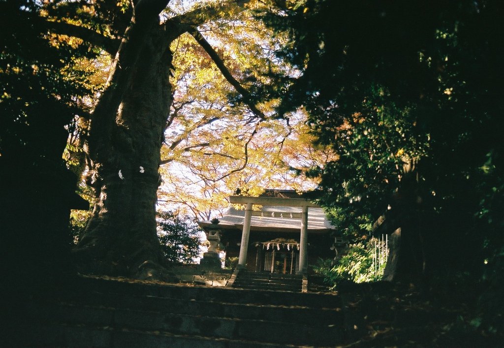 神の住む場所