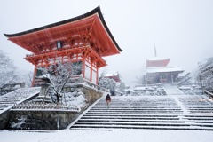 雪の清水寺