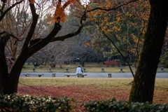 京都御苑