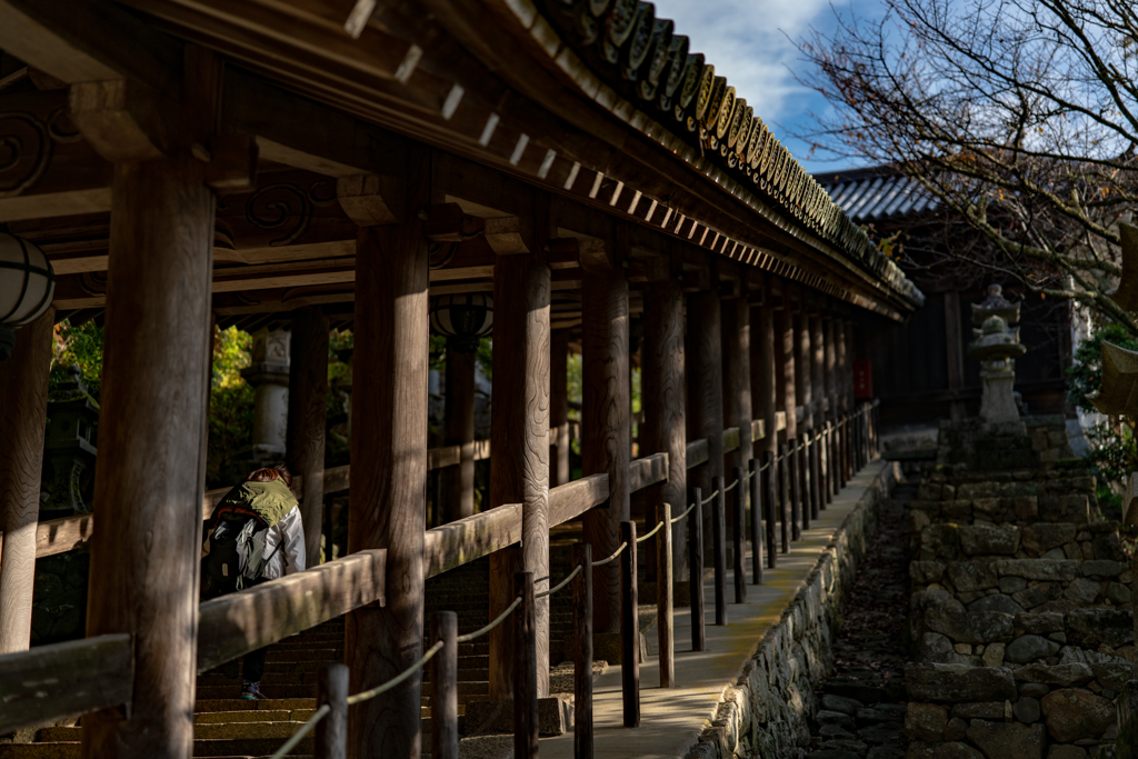 大和國　長谷寺