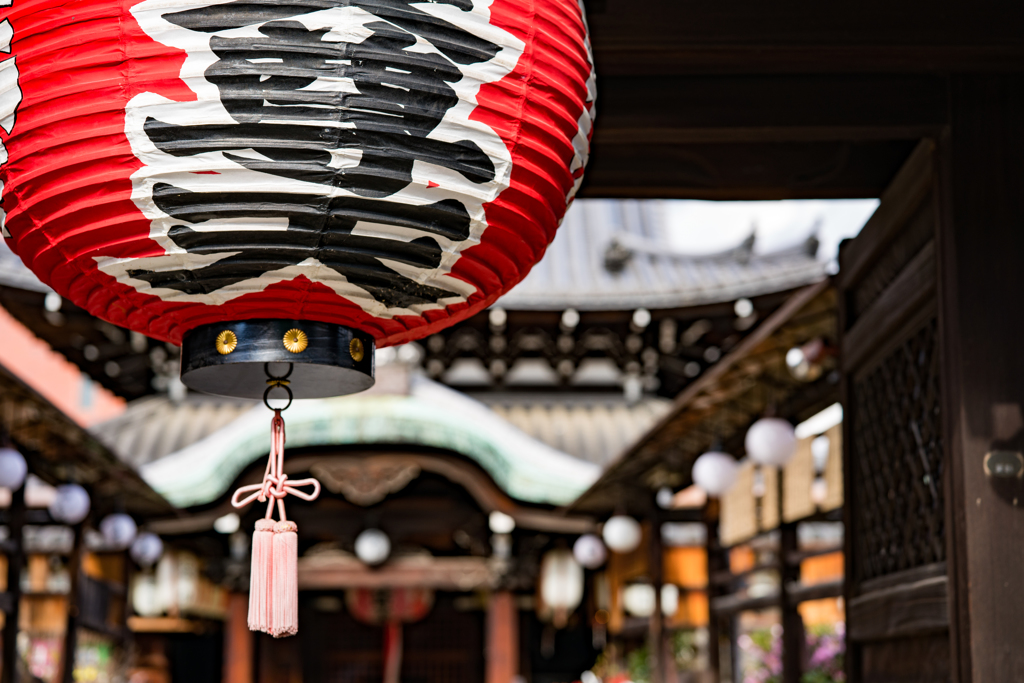 建仁寺　塔頭　禅居庵