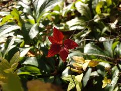 公園にて