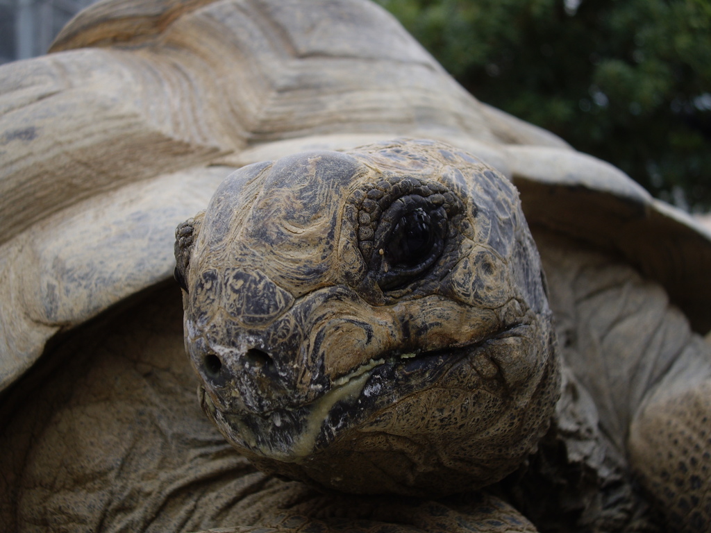 東山動植物園にて