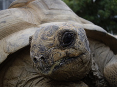 東山動植物園にて