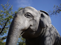 東山動植物園にて