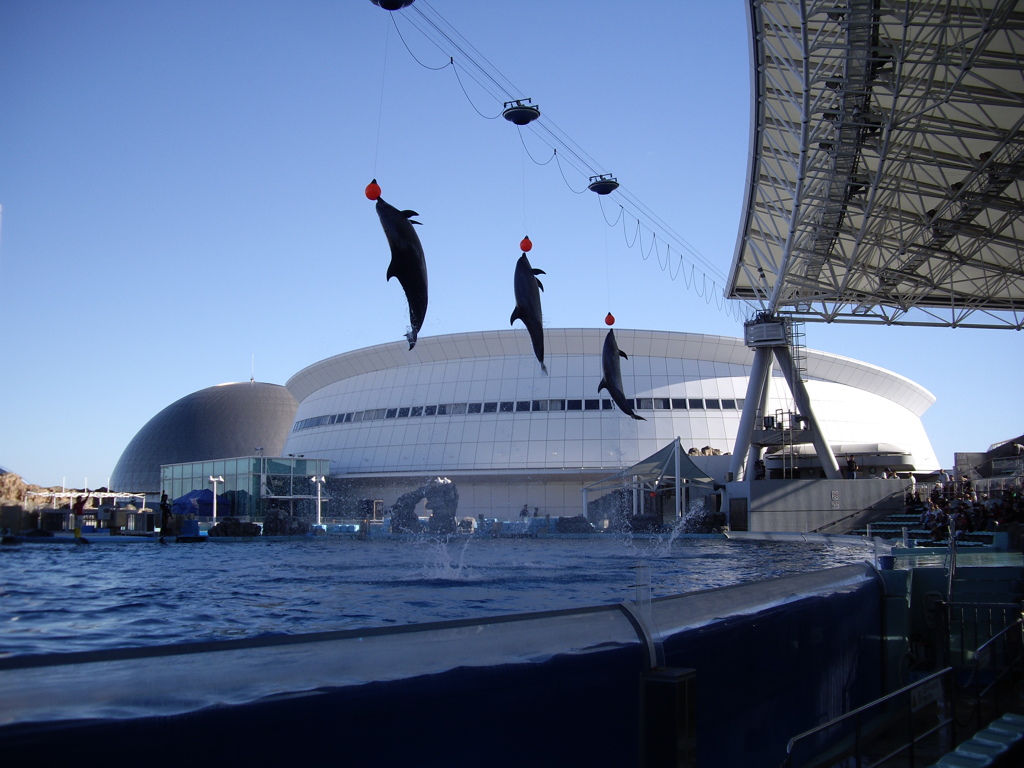 名古屋港水族館にて