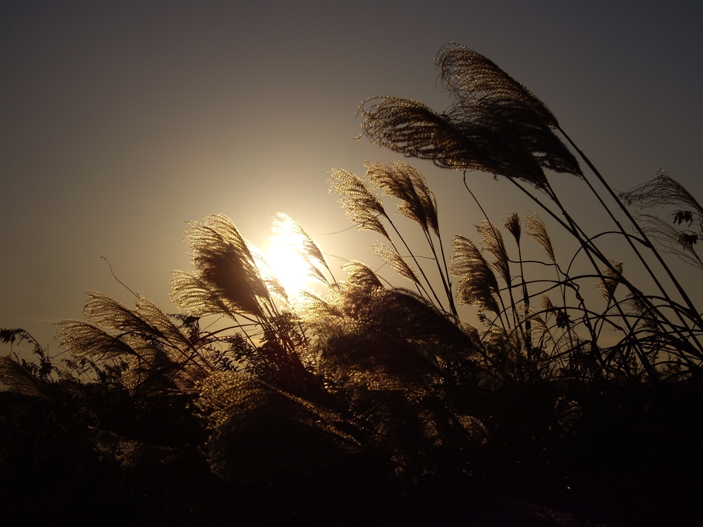 夕暮れにて