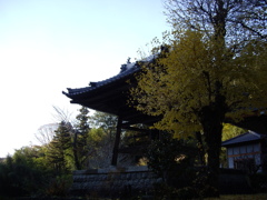 大滝渓谷にて