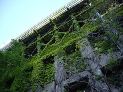 定光寺付近にて