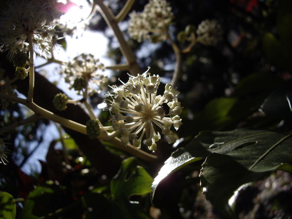 公園にて