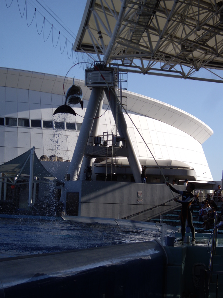 名古屋港水族館にて