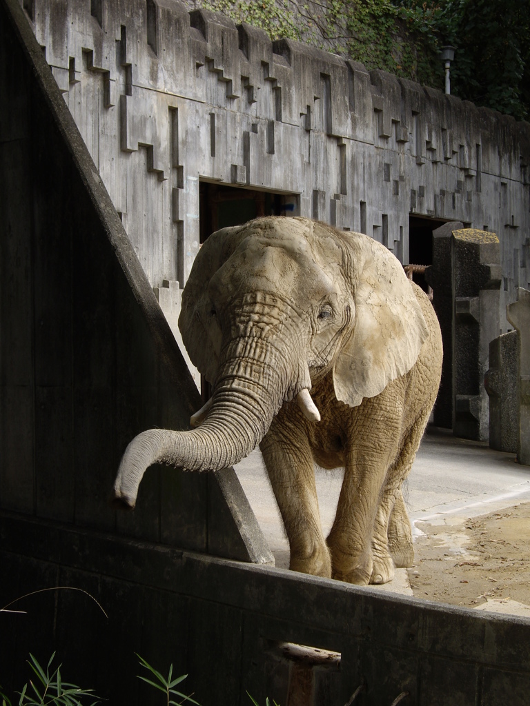 東山動植物園にて