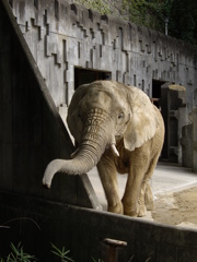 東山動植物園にて