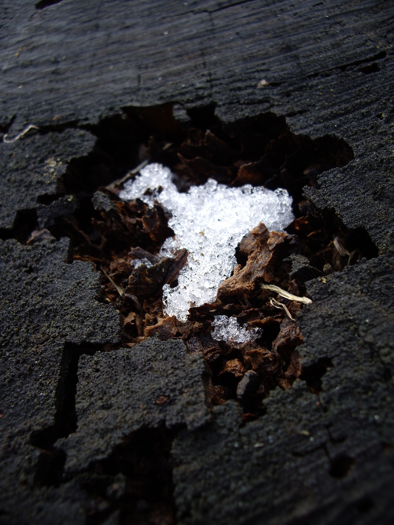 雪のかけら