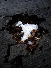 雪のかけら