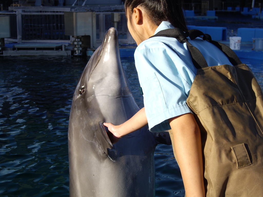 名古屋港水族館にて