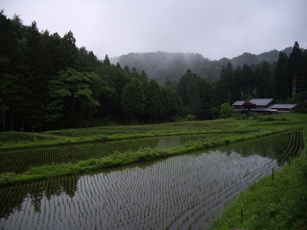 神越渓谷付近にて