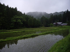 神越渓谷付近にて