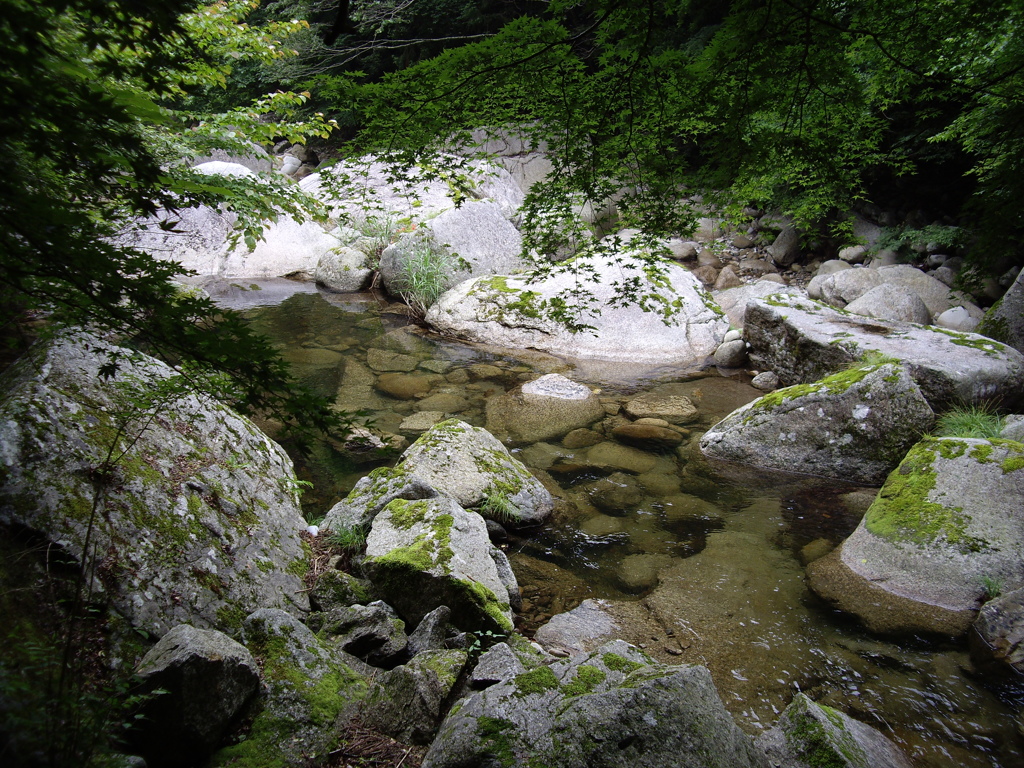 神越渓谷付近にて
