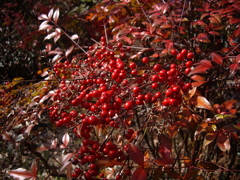 公園にて