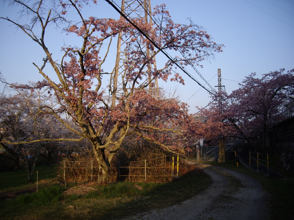 平戸橋にて