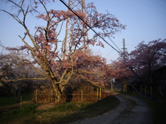 平戸橋にて