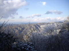 猿投山にて