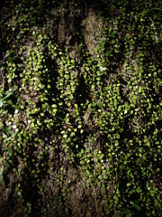 王滝渓谷にて