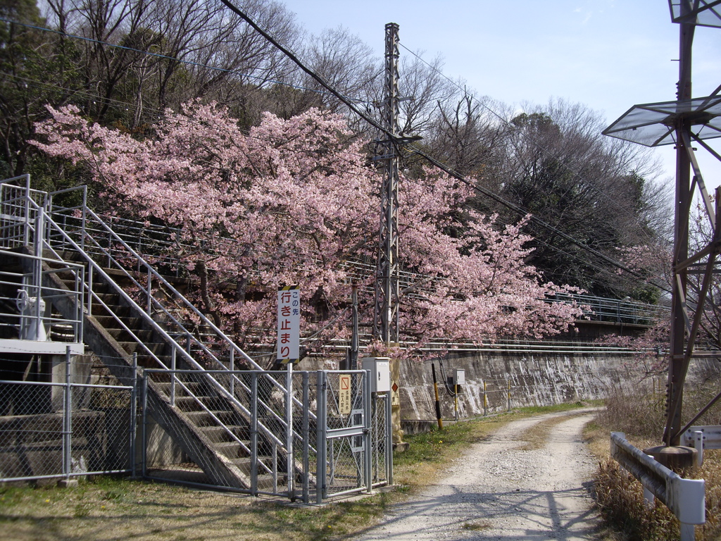 環八にて