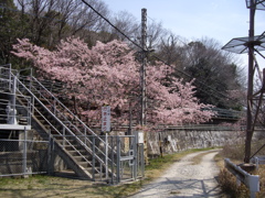 環八にて