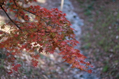 静