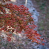 静