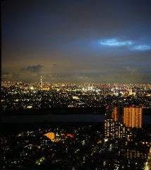 千葉からみた東京スカイツリー