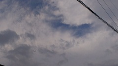飛行機