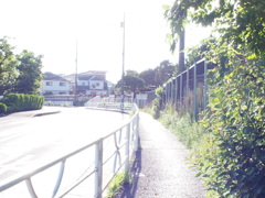 カメラ刷新！