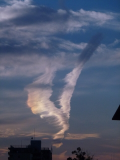 鳥のような彩雲